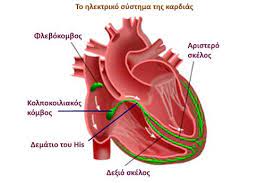 Ταχυκαρδίες και αρρυθμίες.Άρθρο του καρδιολόγου Νίκου Παναγιωτόπουλου,καρδιολογικό ιατρείο Νέα Σμύρνη